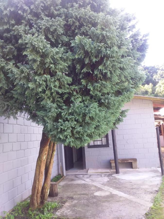Kitnet Recanto De Campos-Pertinho Do Centro Villa Campos do Jordao Exterior photo
